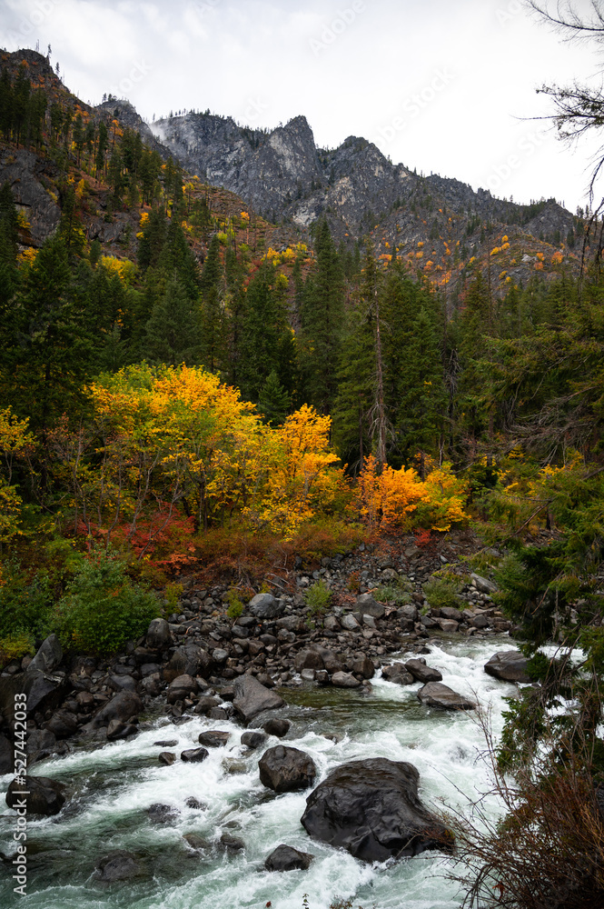 Autumn on the River Autumn on the River