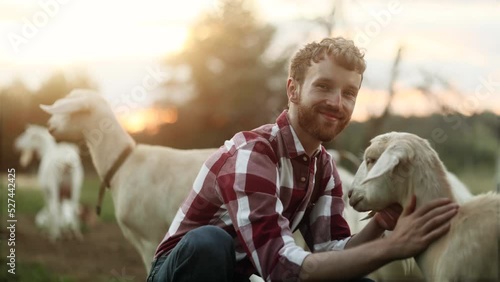 Portrait of young farmer petting goats in the farmland with beautiful sunset on the background. Smiling young worker among herd of goats. High quality 4k footage photo