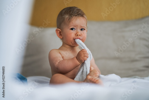 cute naked almost one year old blond baby boy sitting at home on a cozy bed after bathing and playing or biting a white flannel face cloth because of teething and suck water