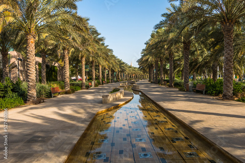 City park with exotic palm trees, botanical garden in Abu Dhabi. 