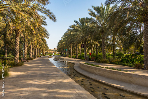 City park with exotic palm trees, botanical garden in Abu Dhabi. UAE.