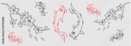 Japanese style background. Sakura flowers, cherry blossoms Koi Fishes pattern. Hand drawing vector illustration 