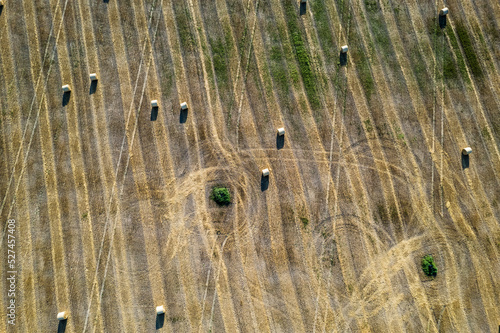 Aerial view of hay bales in the field during hot summer day. Hay rolls after harvesting grain and wheat. Agriculture concept.