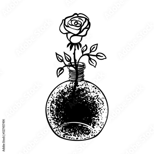 Blackwork tattoo flash. Rose flower in round bottle. Highly detailed vector i...