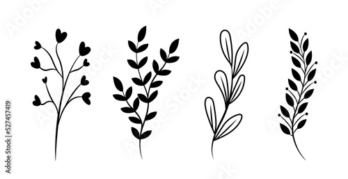 Floral set of hand drawn botanic elements. Vector