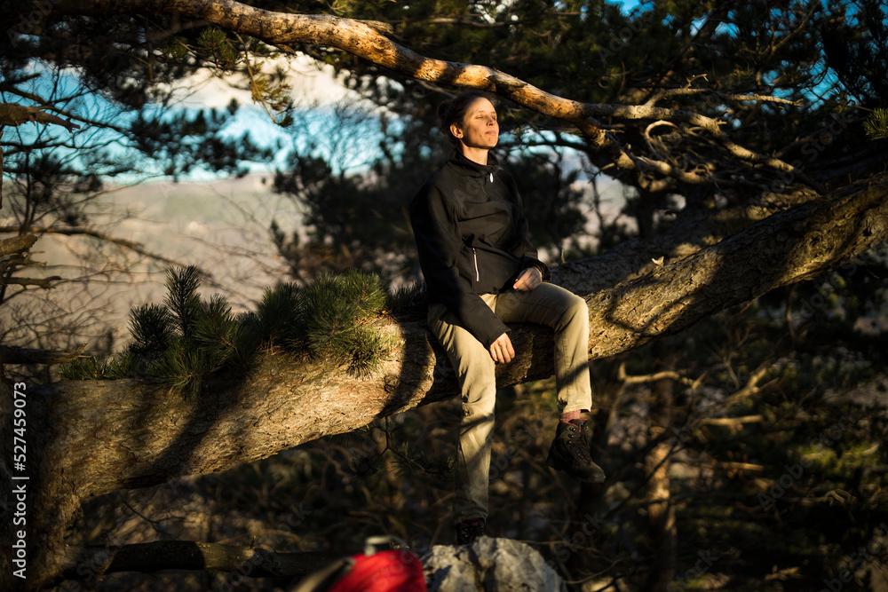 Woman Hiker Resting and Enjoying On A Tree Branch Sunset Warm Rays With Closed Eyes Woman Hiker Resting and Enjoying On A Tree Branch Sunset Warm Rays With Closed Eyes