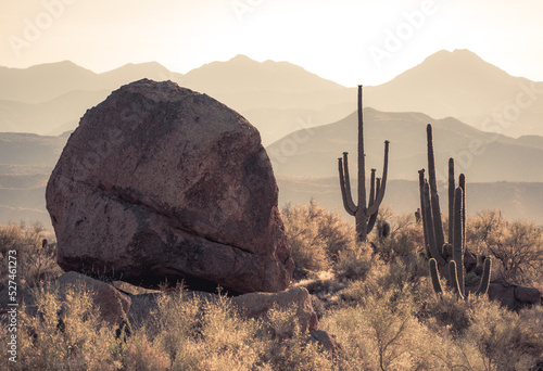 Foto Hug Boulder And Saguaro Cactus Silhouette During Morning Light