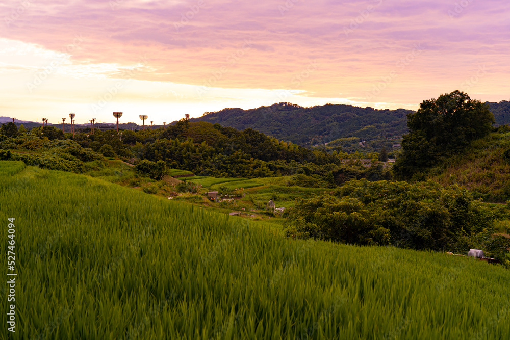 下赤坂の棚田の夕景 下赤坂の棚田の夕景