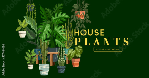 A set of fresh and green indoor house plants. Vector illustration.