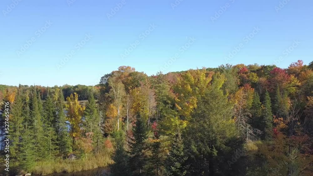 Aerial drone video moving back from above the trees in the Fall near a quiet lake Aerial drone video moving back from above the trees in the Fall near a quiet lake