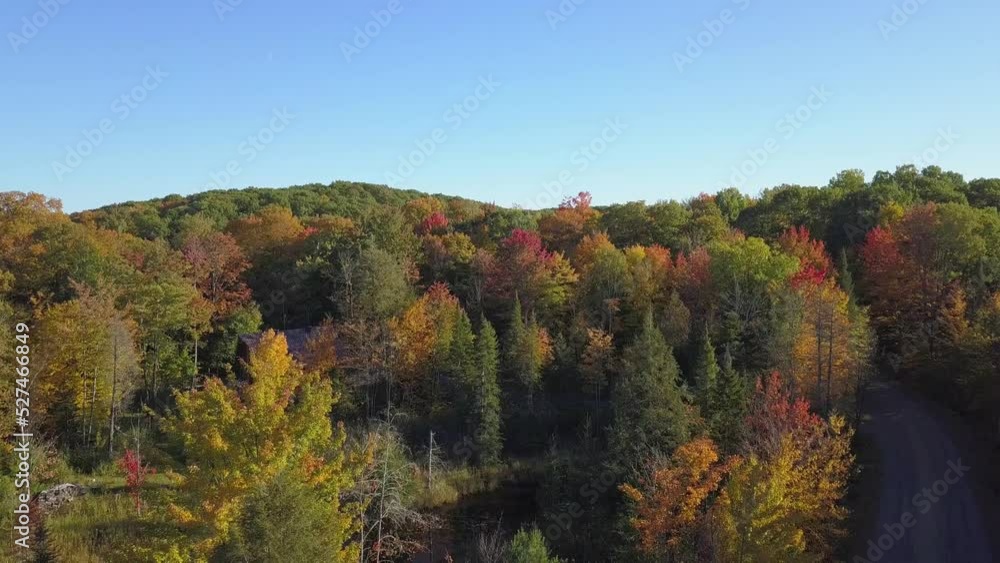 Drone crane shot moving down revealing the colorful trees of the Fall in the country Drone crane shot moving down revealing the colorful trees of the Fall in the country