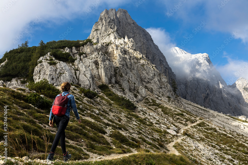 Woman Backpack Hiker Moving Up on a Beautiful Alpine Footpath