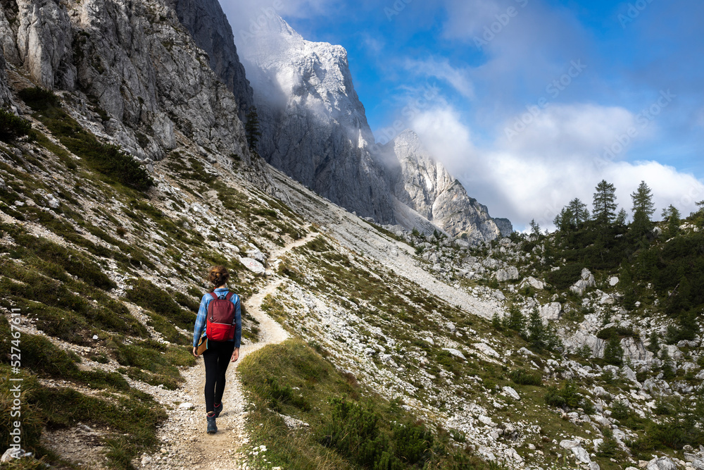 Woman Backpack Hiker Moving Up on a Beautiful Alpine Footpath