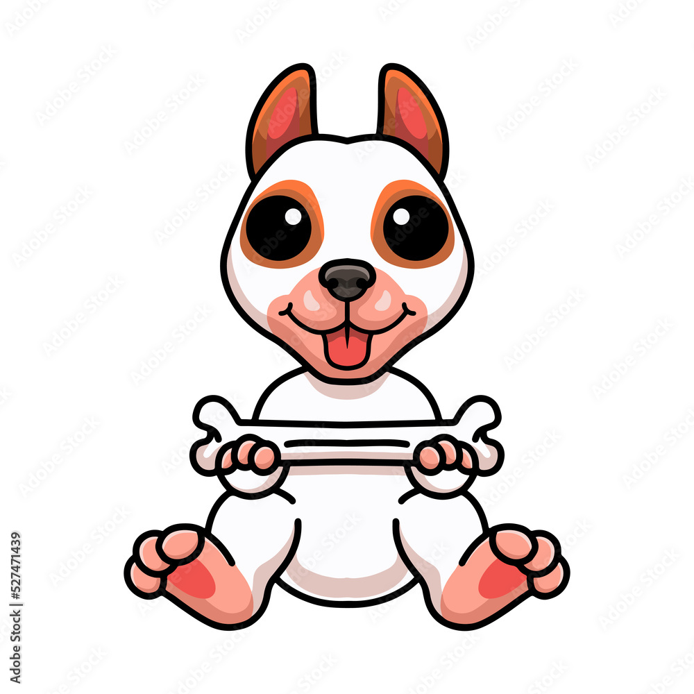 Cute bully kutta cartoon holding a bone Cute bully kutta cartoon holding a bone