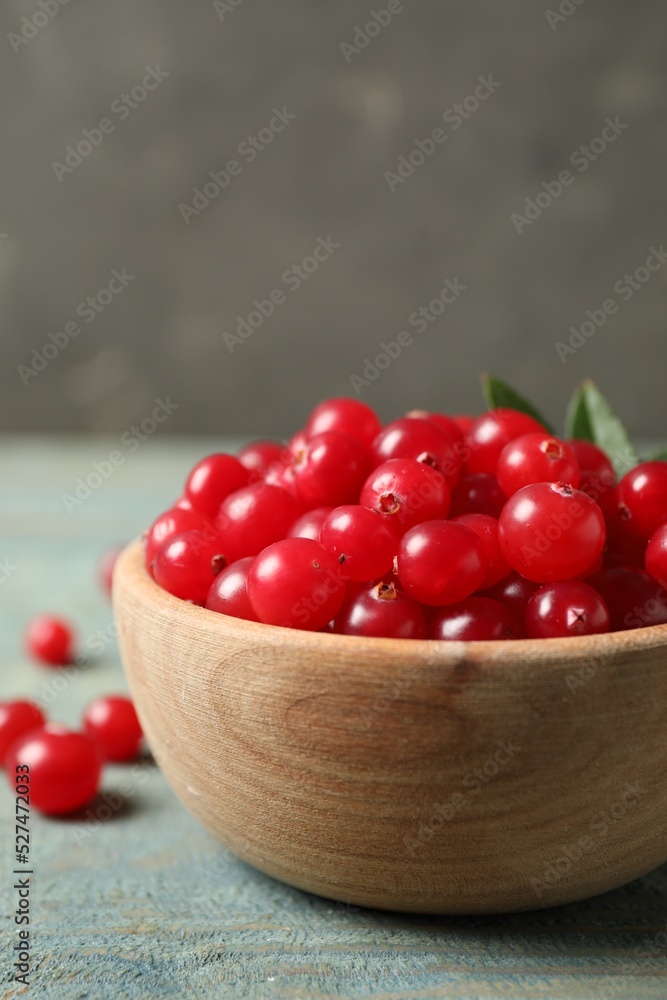 Tasty ripe cranberries on light blue wooden table, closeup Tasty ripe cranberries on light blue wooden table, closeup