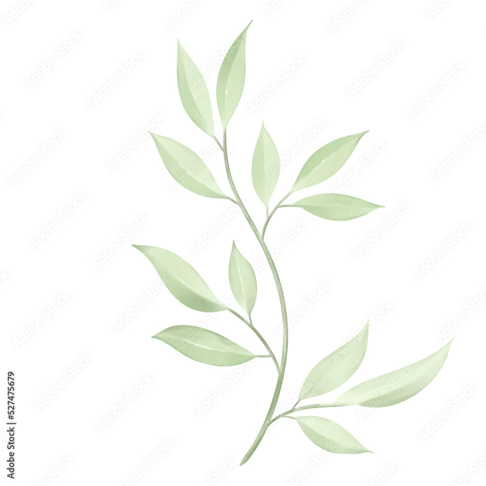 watercolor leaves and branches, hand drawn  isolated on white