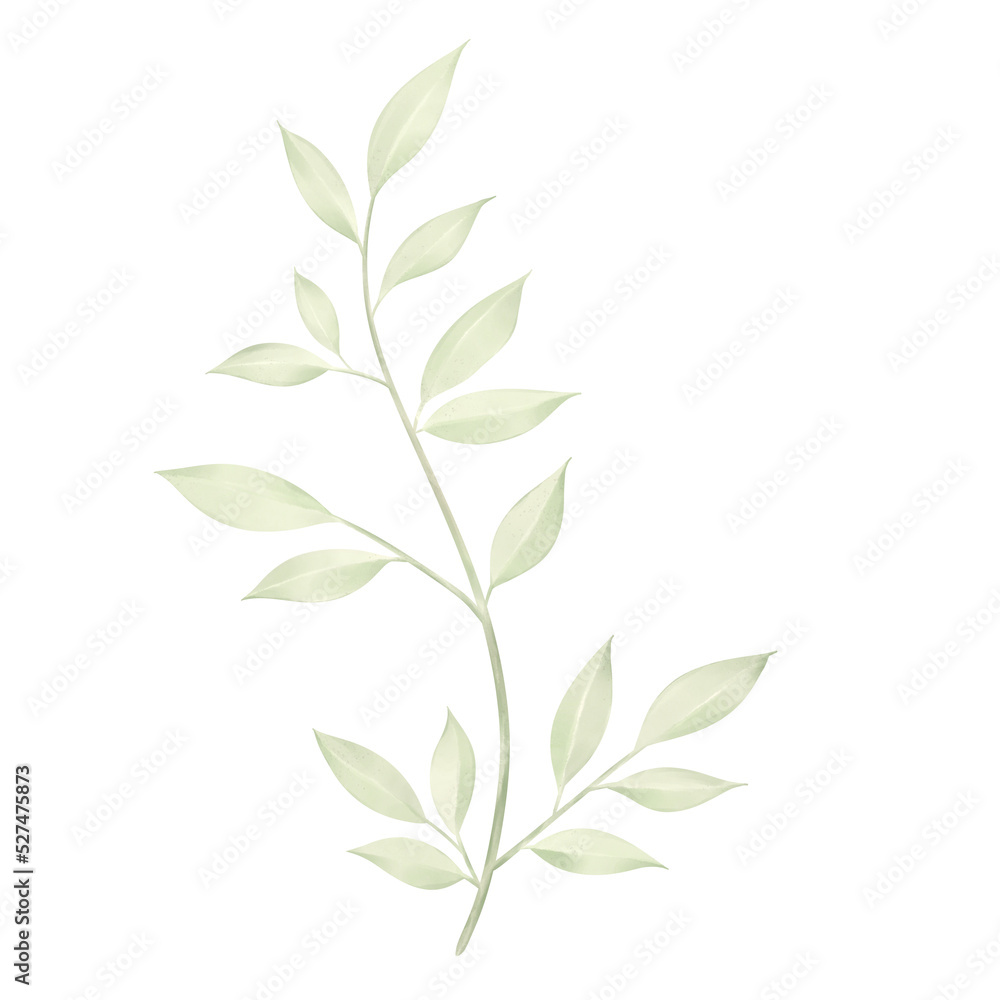 Hand drawn watercolor illustration of abstract green branch. Elements for design Hand drawn watercolor illustration of abstract green branch. Elements for design