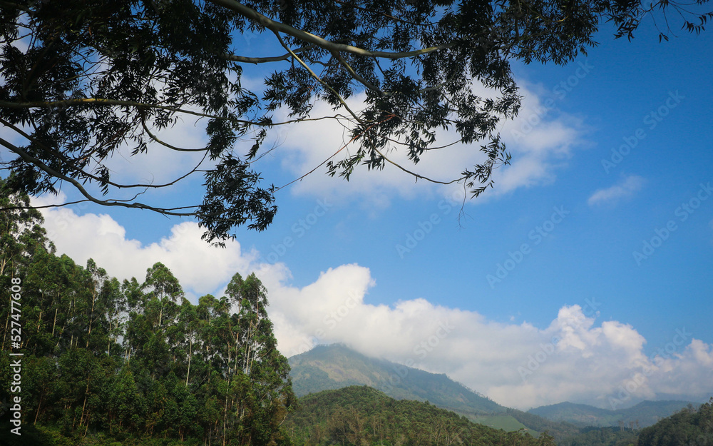 Mountain View from Mattupetty Dam, Munnar, Kerala, India