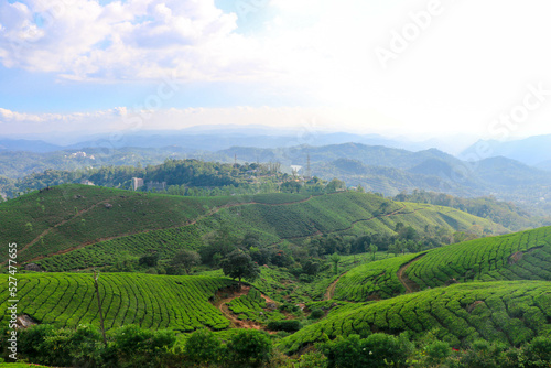 Spectacular View of Tea Plantation from Kannan Devan Hills, Munnar, Kerala, India photo