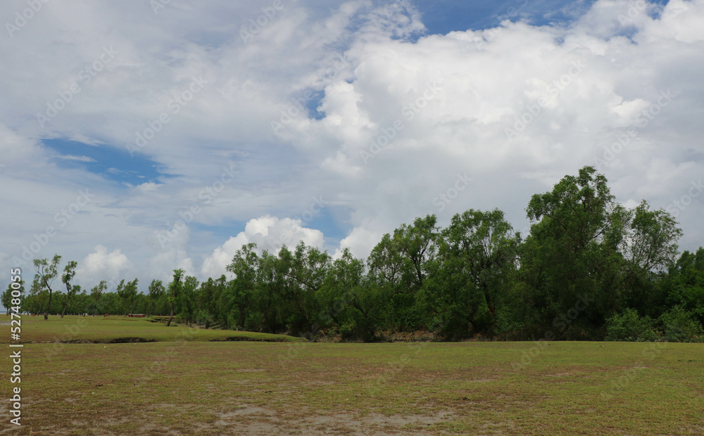 Fototapeta premium Cloudy Sky near Guliakhali Sea Beach, Chattogram, Bangladesh