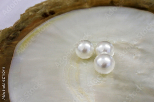 Three Australian South Sea pearl inside an oyster