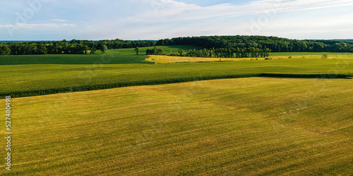 Vibrant summertime landscapes in wisconsin