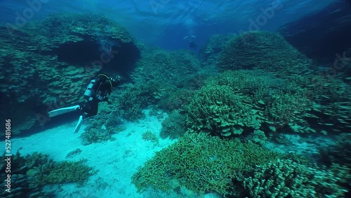 Wallpaper Mural Scuba diving on the reefs of Majuro,Marshall islands. Torontodigital.ca