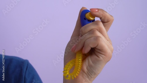 Woman hand presses button on clicker positively motivate dog by clicking sound. Handler trains the animal using clicker device forms association of behavior. Puppy training and education