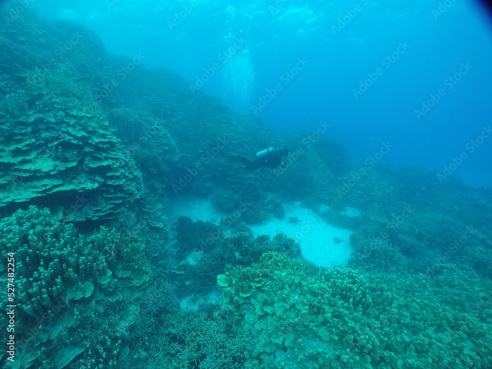 Scuba diving on the reefs of Majuro,Marshall islands. Scuba diving on the reefs of Majuro,Marshall islands.