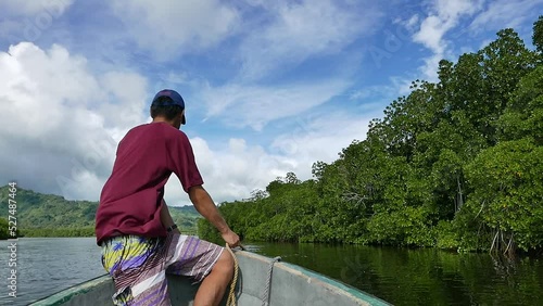 Yela Valley Ka Forest at Kosrae, Federated States of Micronesia. photo