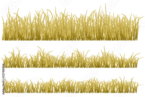 dry grass. brown grass