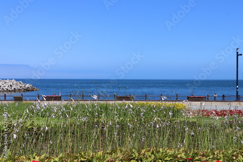 Blue Ocean and the Clear Sky