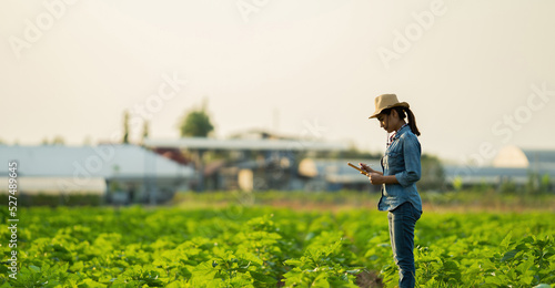 Farmer are planning to farm on tablets.