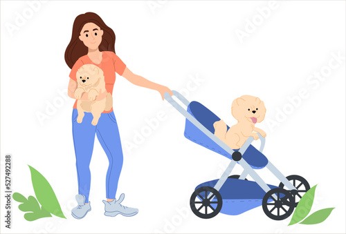 A dog sitting on a stroller for children.  A young woman is carrying a dog in a stroller. A cute puppy sits in the arms of a girl. 
Concept vector illustration. Isolate on white background. 