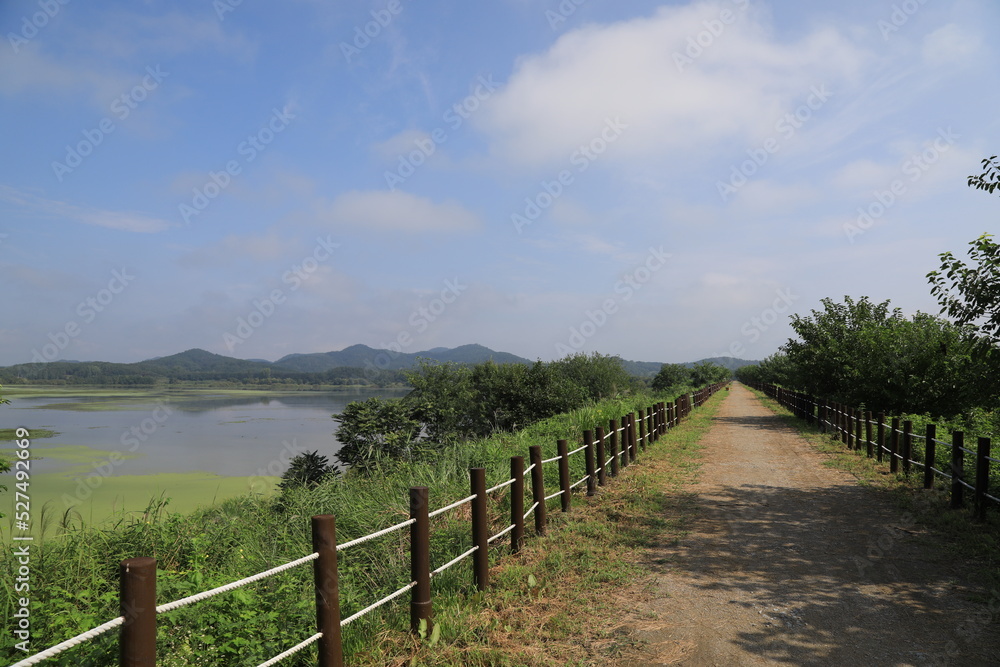 wetland site in korea