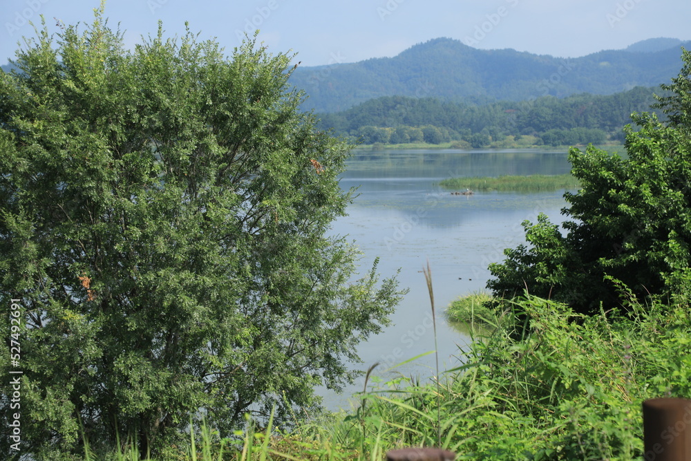 Fototapeta premium wetland site in korea