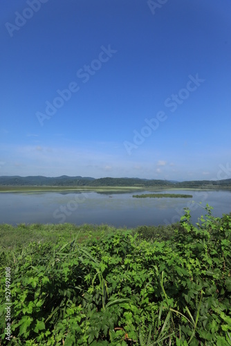 wetland site in korea