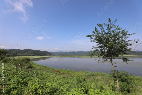 Fototapeta Naklejka Na Ścianę i Meble -  wetland site in korea