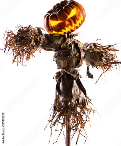Fotografiet halloween pumpkin scarecrow