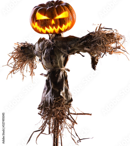 Tableau sur toile halloween pumpkin scarecrow