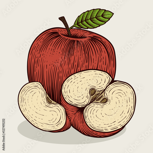 Illustration vintage apple fruit with engraving style on white background