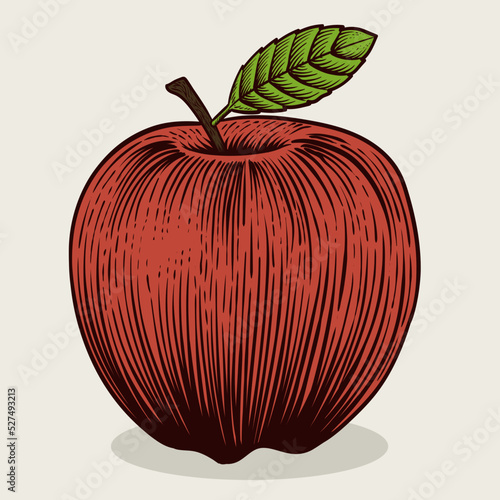 Illustration red vintage apple fruit with engraving style on white background