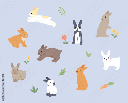 Cute rabbits of various colors and patterns are running around the flower garden. flat design style vector illustration.
