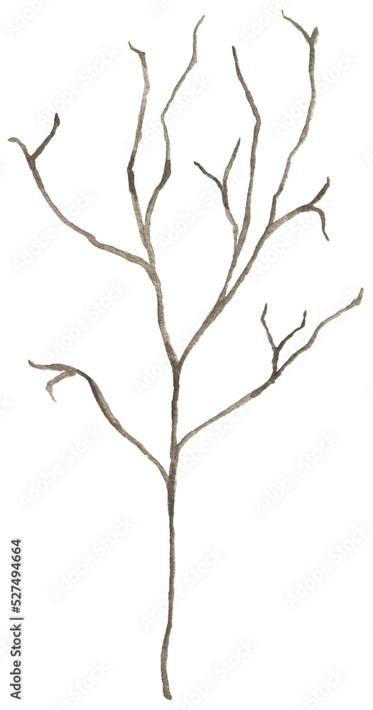 Watercolor brown branch twig illustration Watercolor brown branch twig illustration