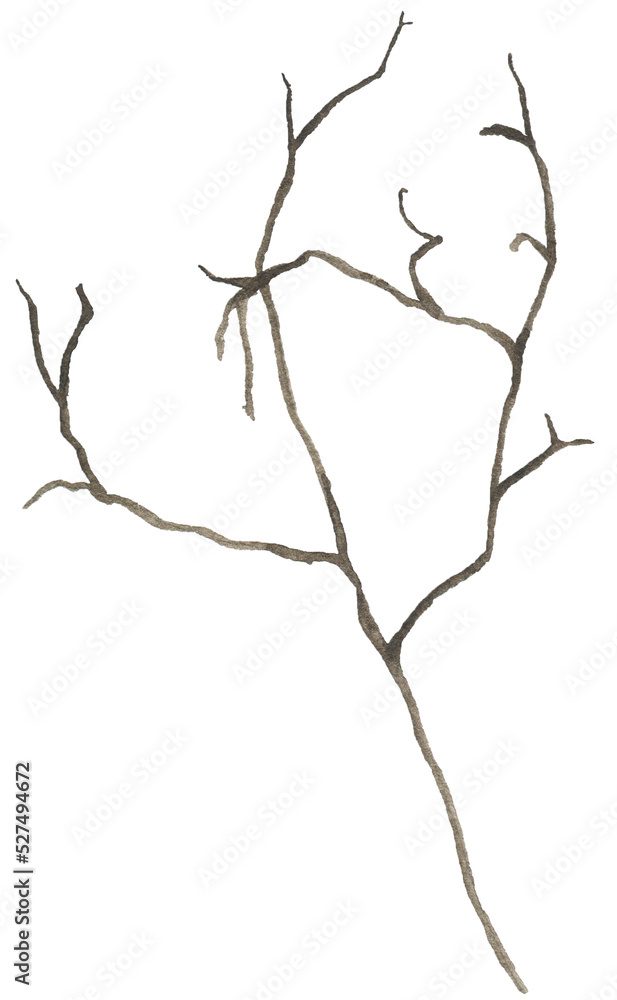 Fototapeta premium Watercolor brown branch twig illustration