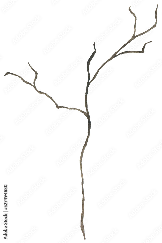 Watercolor brown branch twig illustration Watercolor brown branch twig illustration