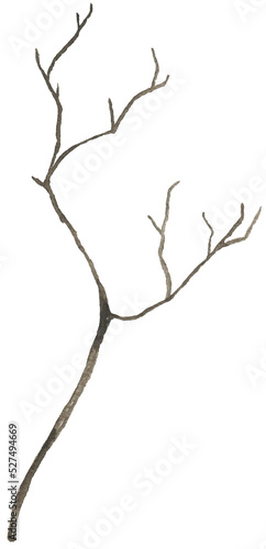 Watercolor brown branch twig illustration
