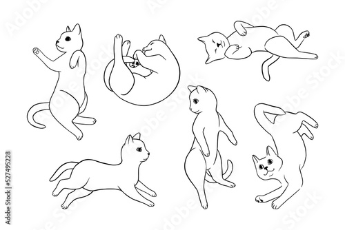 Cat poses doodle set. Monochrome cat sketches. Cute vector illustration