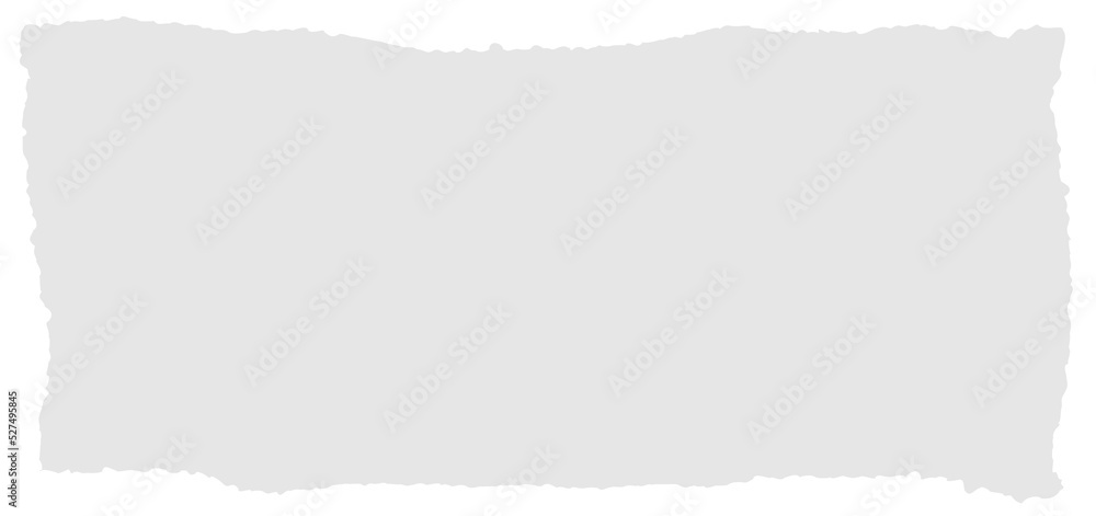 Fototapeta premium rip paper page