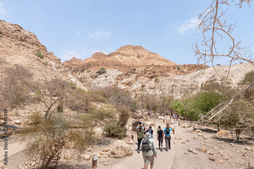 Ein Gedi National Nature Reserve, located in the Judean Desert, southern Israel